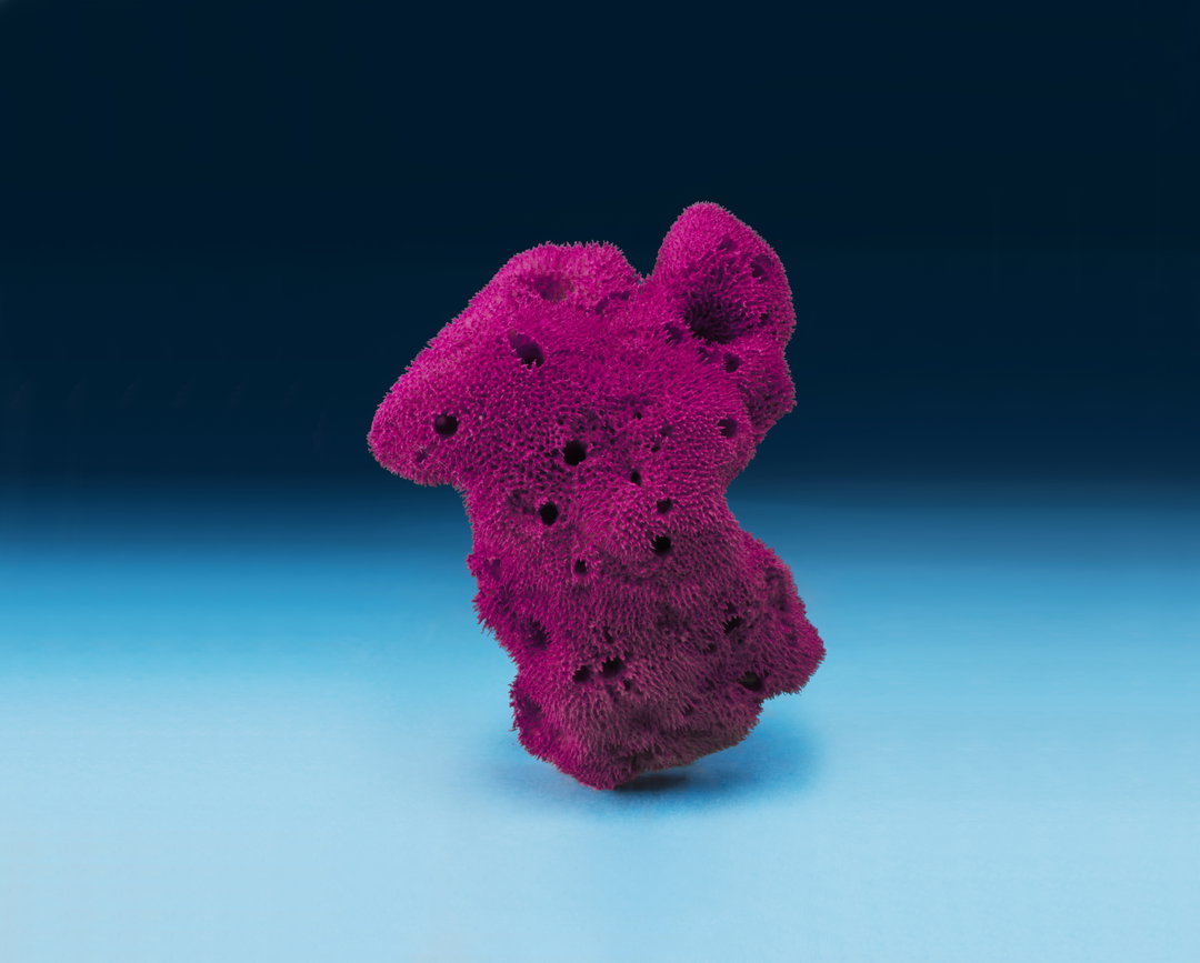 Cecile Poupon-itsnicethat-5.jpg