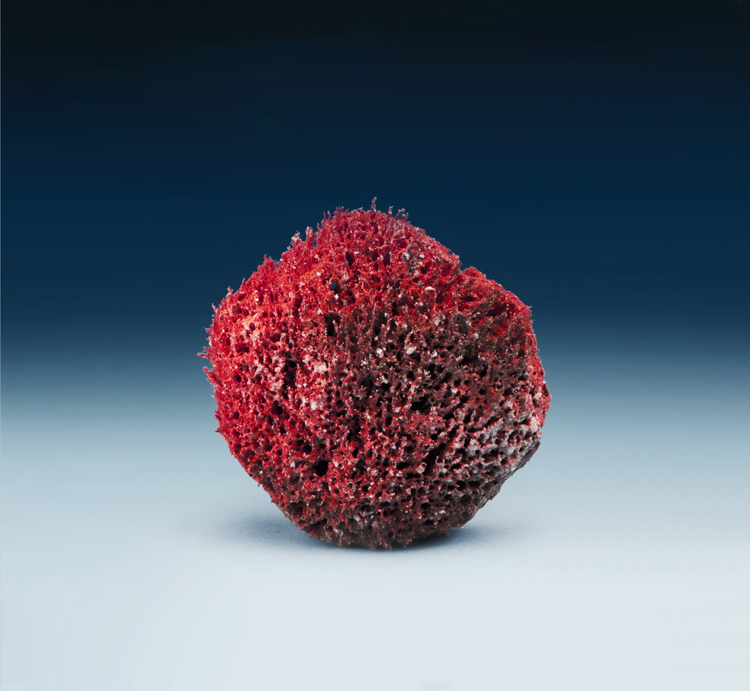 Cecile Poupon-itsnicethat-6.jpg