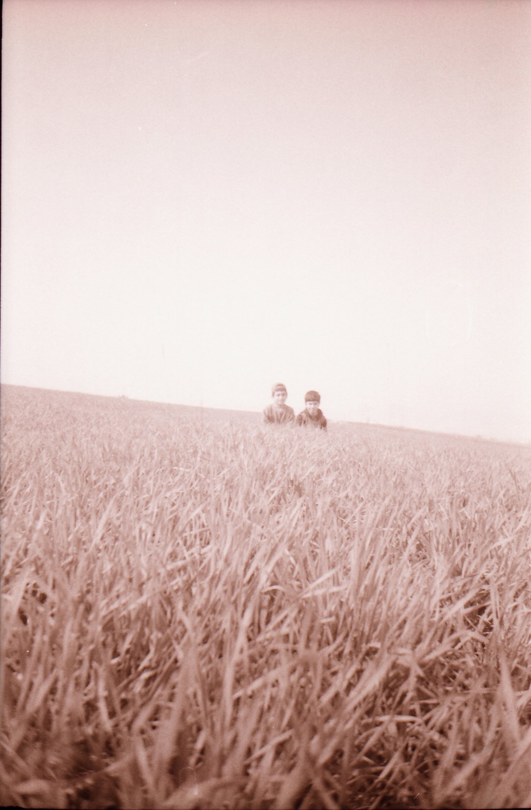 sirkhane-darkroom-pho-itsnicethat06