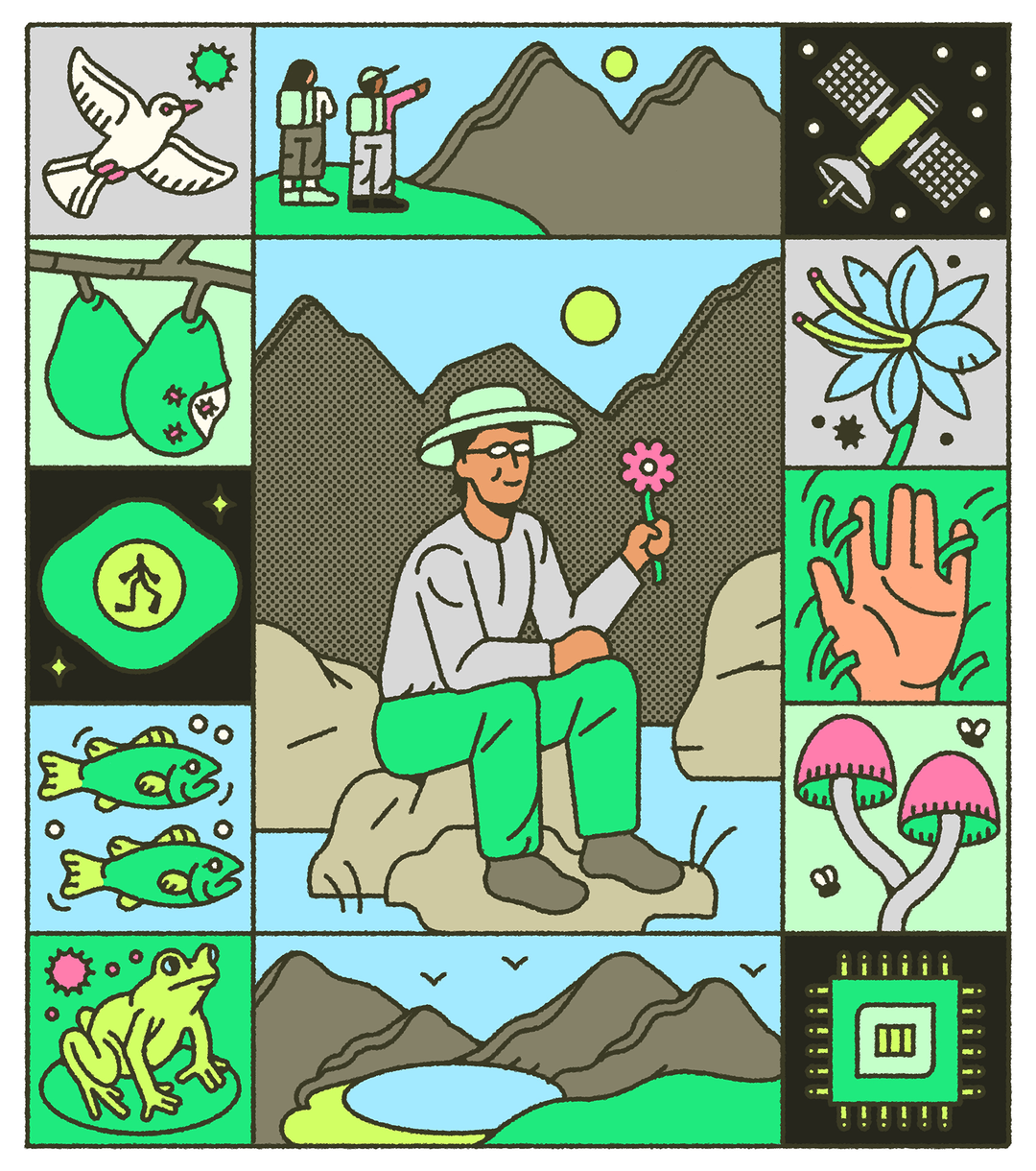 Good Screens_Zach Hackman