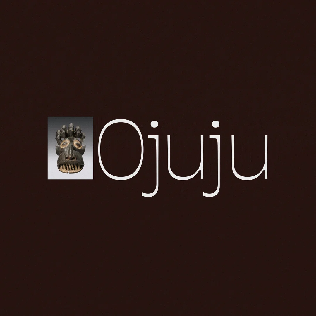 Chisaokwu Joboson IMG_3667.GIF