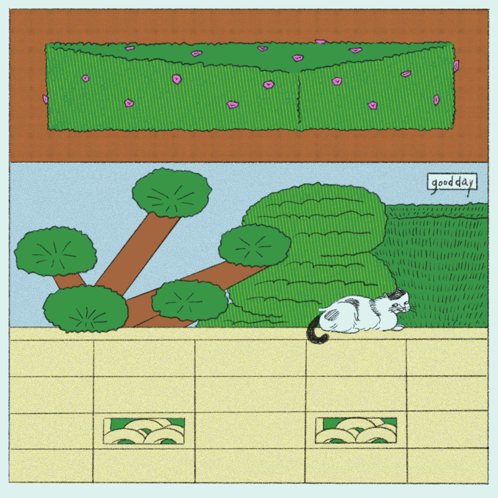 chou-ani-illo-itsnicethat01