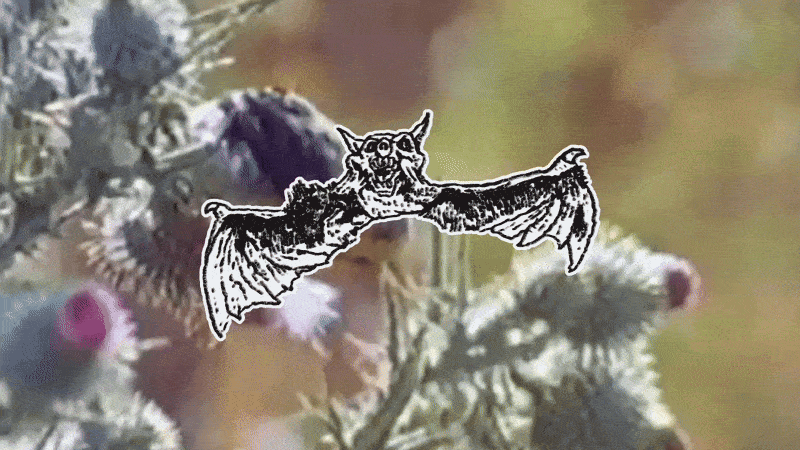 Chrissie-Abbott-French-x-Element-Graphic-Design-Project-itsnicethat-07.gif