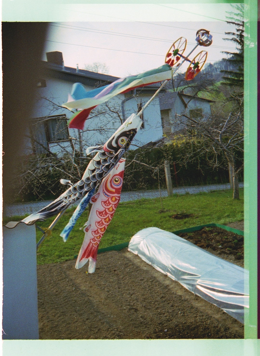 christine-furuya-gössler-pho-itsnicethat10