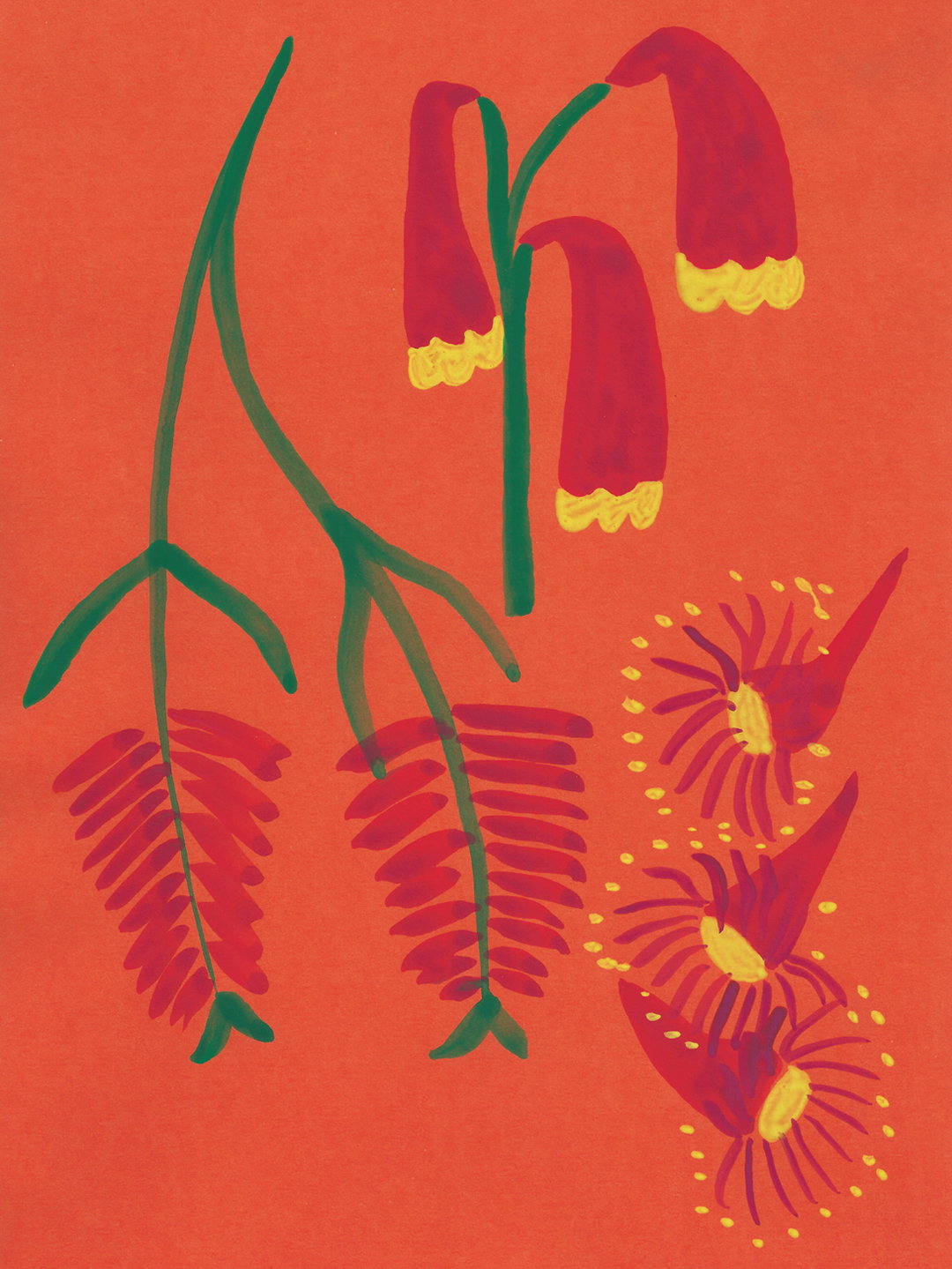 ClaudiaVanEeden-Cooee-Illustration-itsnicethat-07.jpg