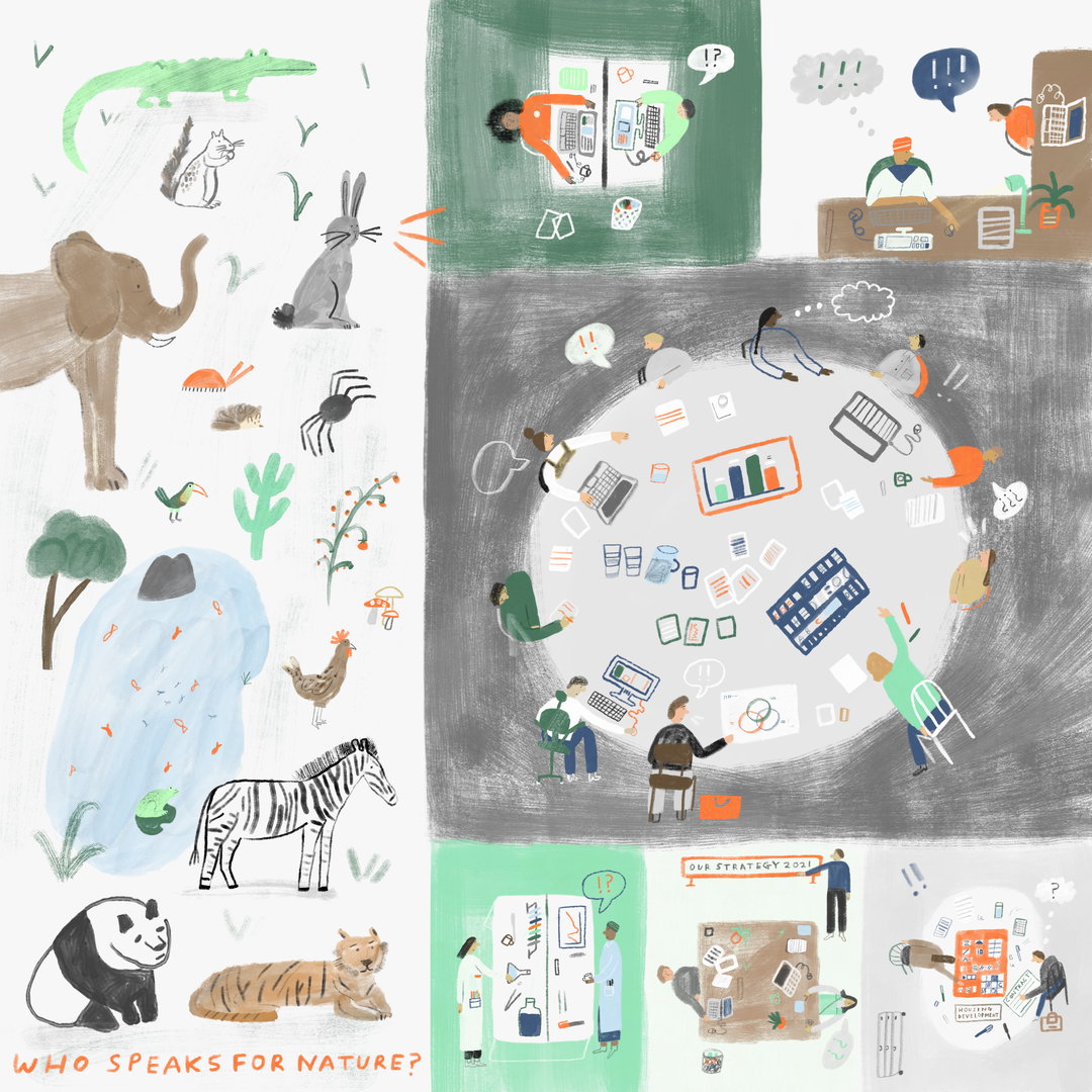 maisy-summer-educational-illo-itsnicethat05