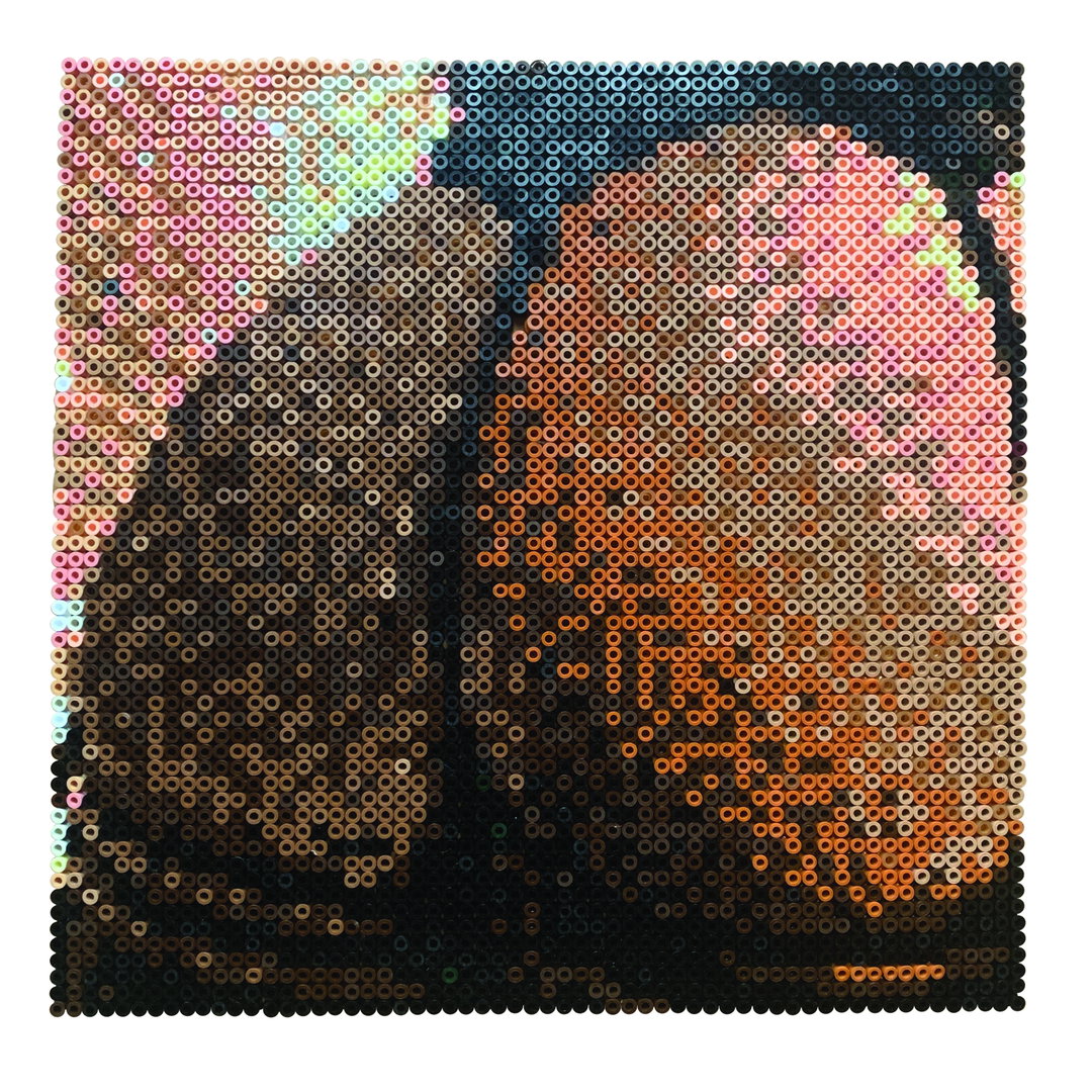 HannahWard-Commission-Art-itsnicethat.jpg