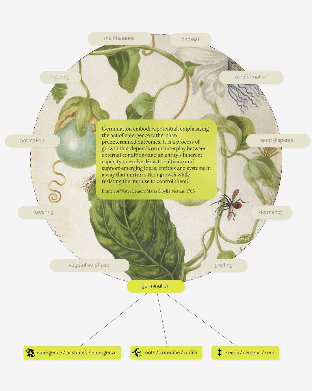 companion-platform-uncommon-fruits-gd-itsnicethat05