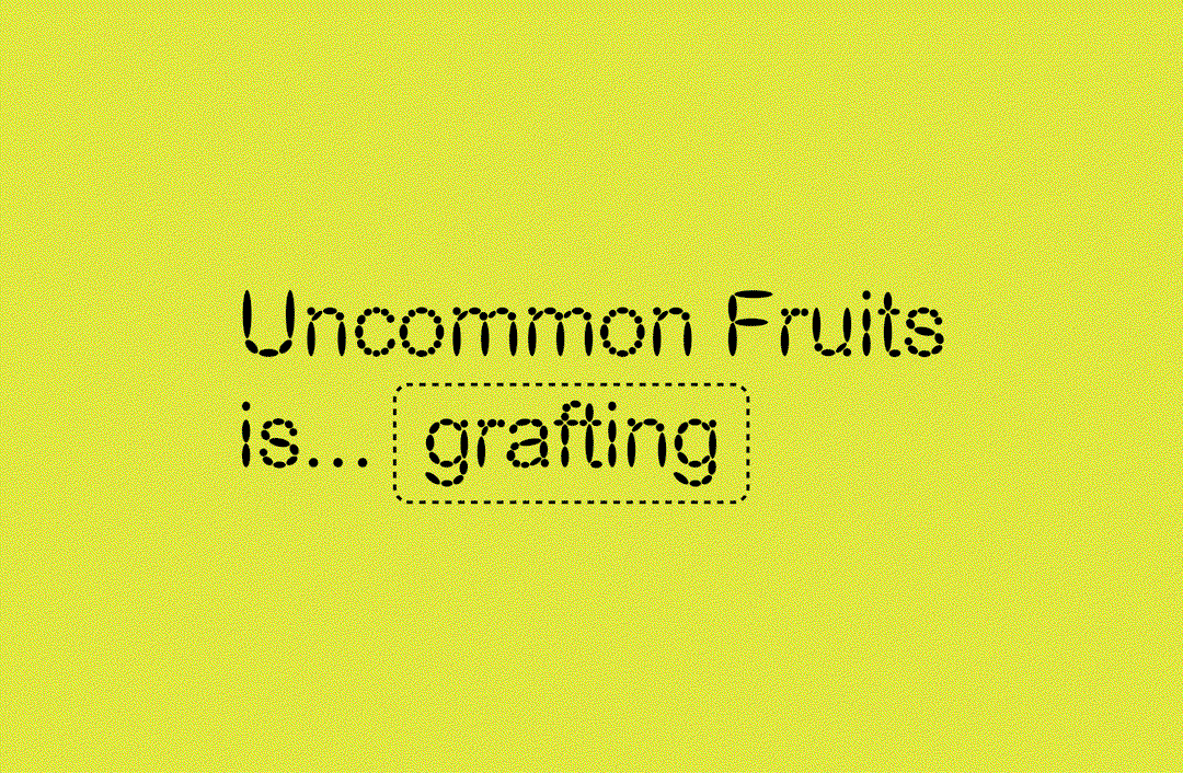 companion-platform-uncommon-fruits-gd-itsnicethat06