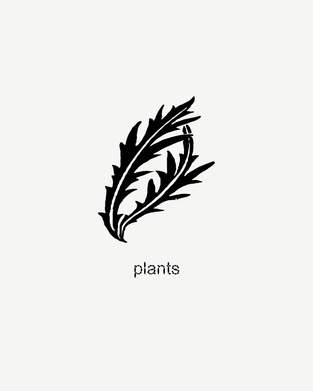 companion-platform-uncommon-fruits-gd-itsnicethat04