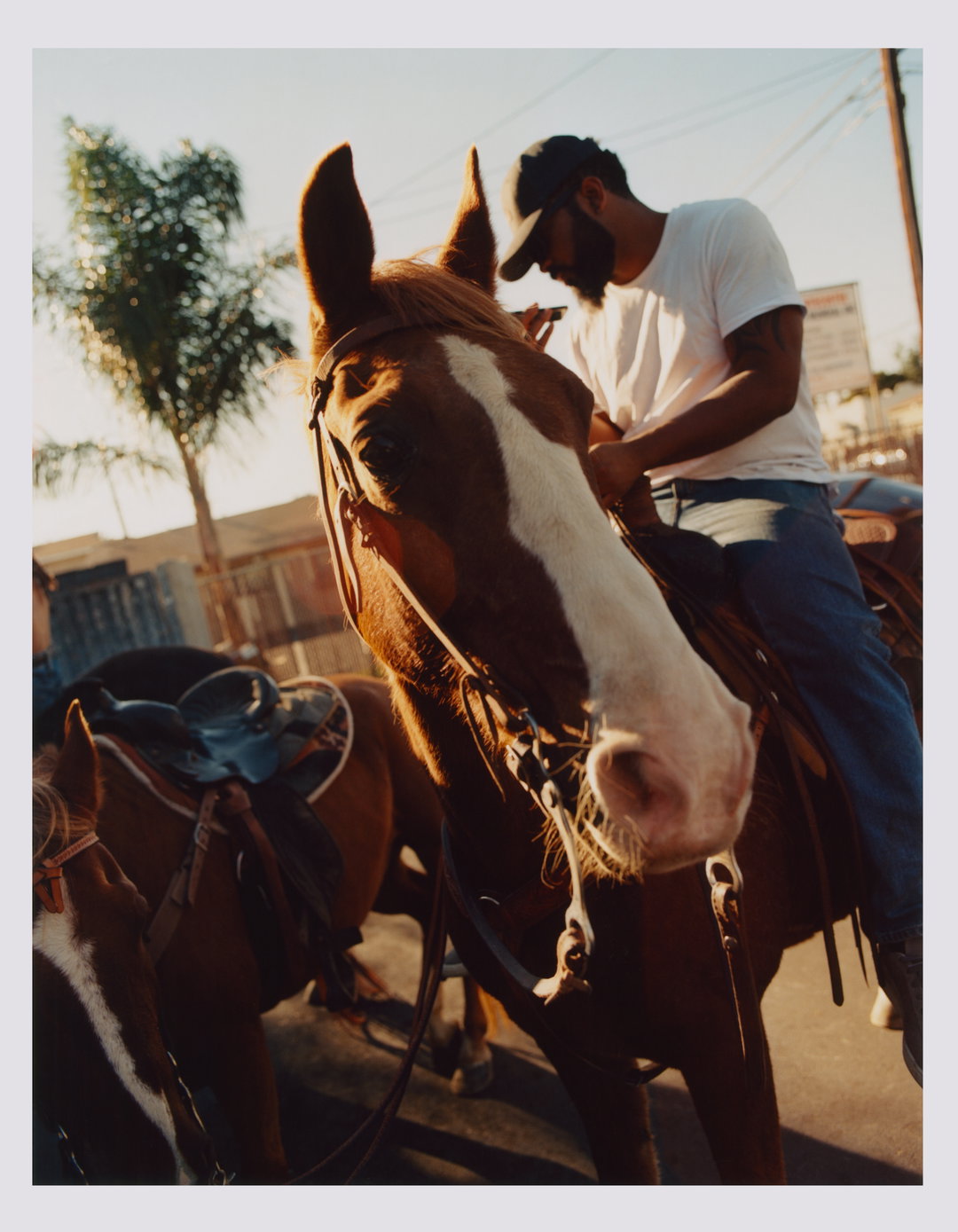 Rhys-frampton-photography-itsnicethat-08
