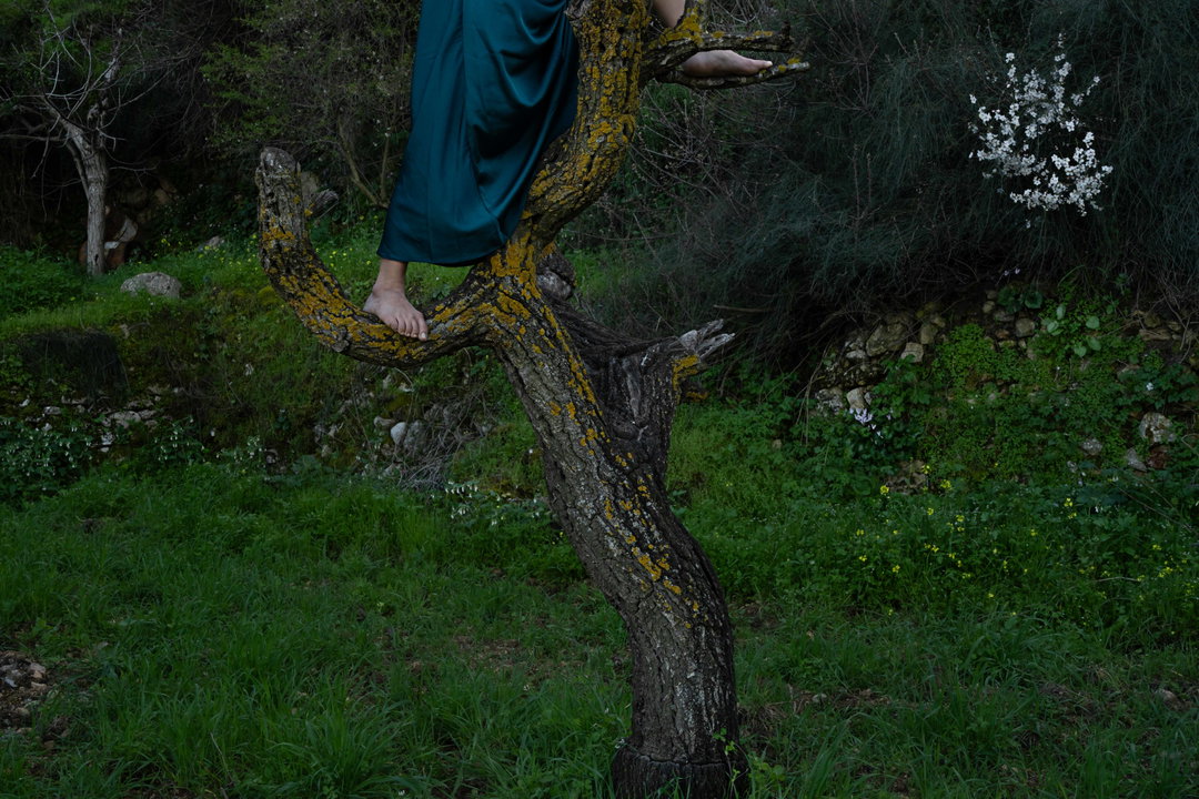 Copy of Samar Hazboun_6.jpg