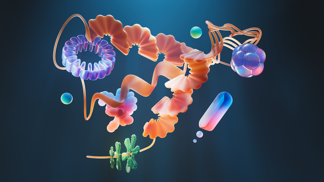 Copy of Twisted_Poly__Biology_09S 2.png
