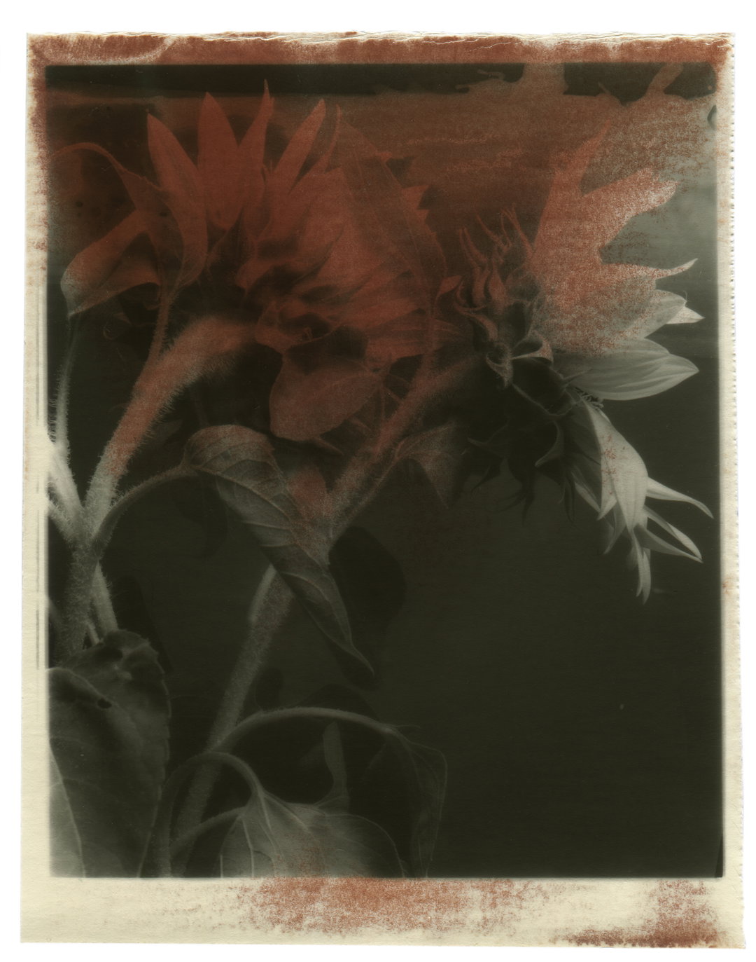 Vic-Bakin-photography-discover-itsnicethat-04