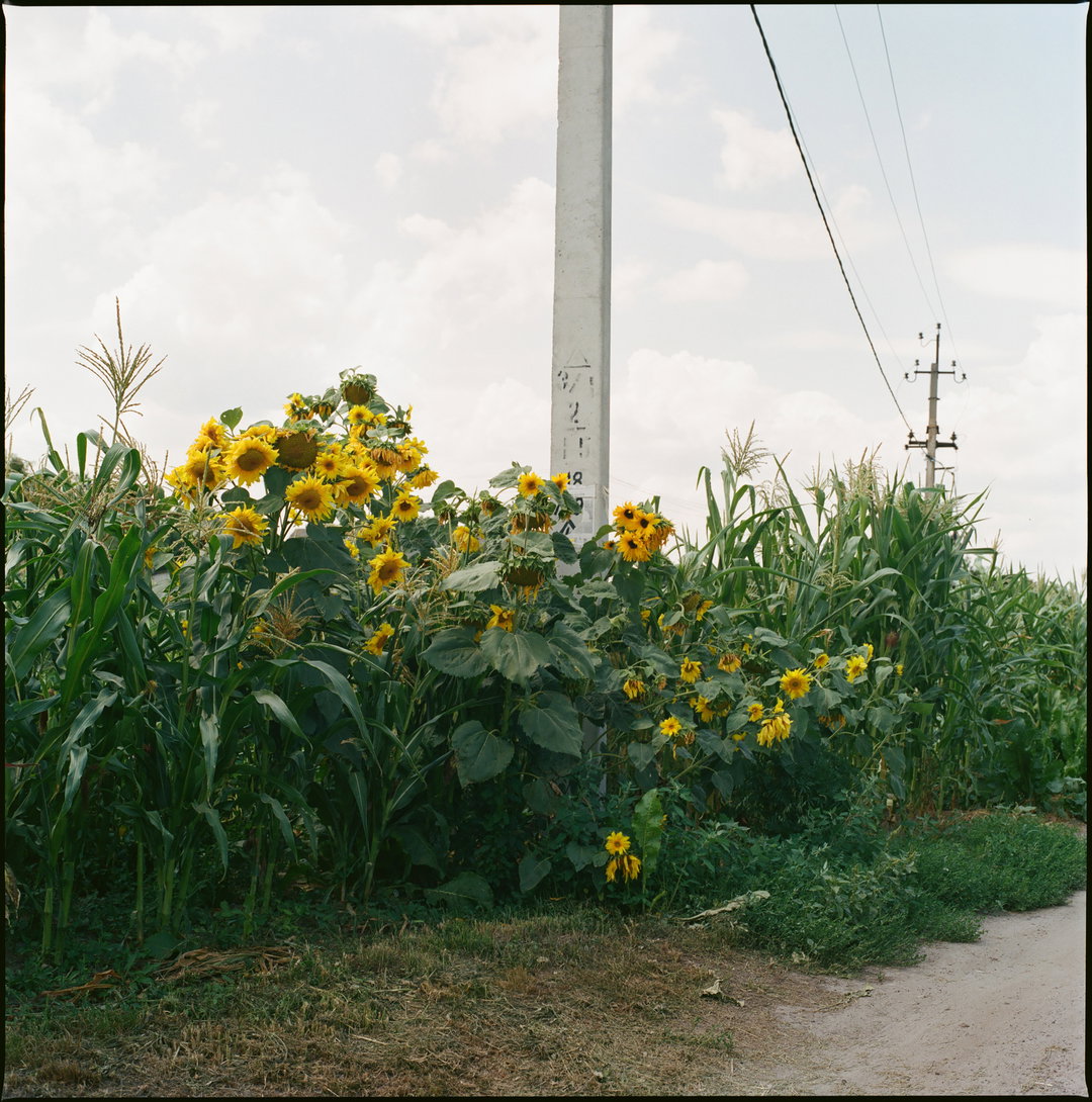 Vic-Bakin-photography-discover-itsnicethat-07