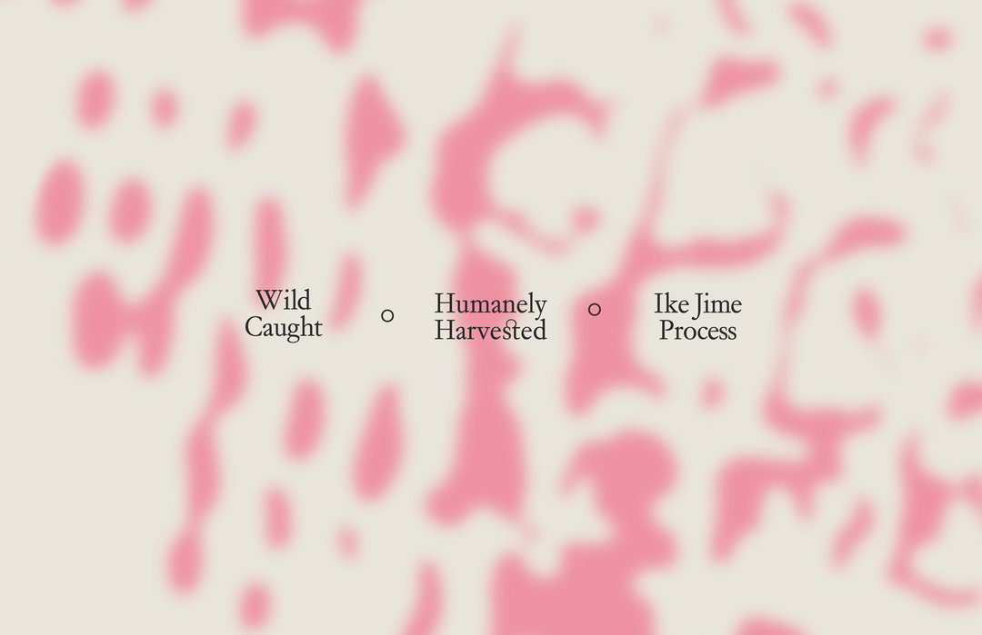 Creech-Seremoni-graphic-design-project-itsnicethat4.jpg