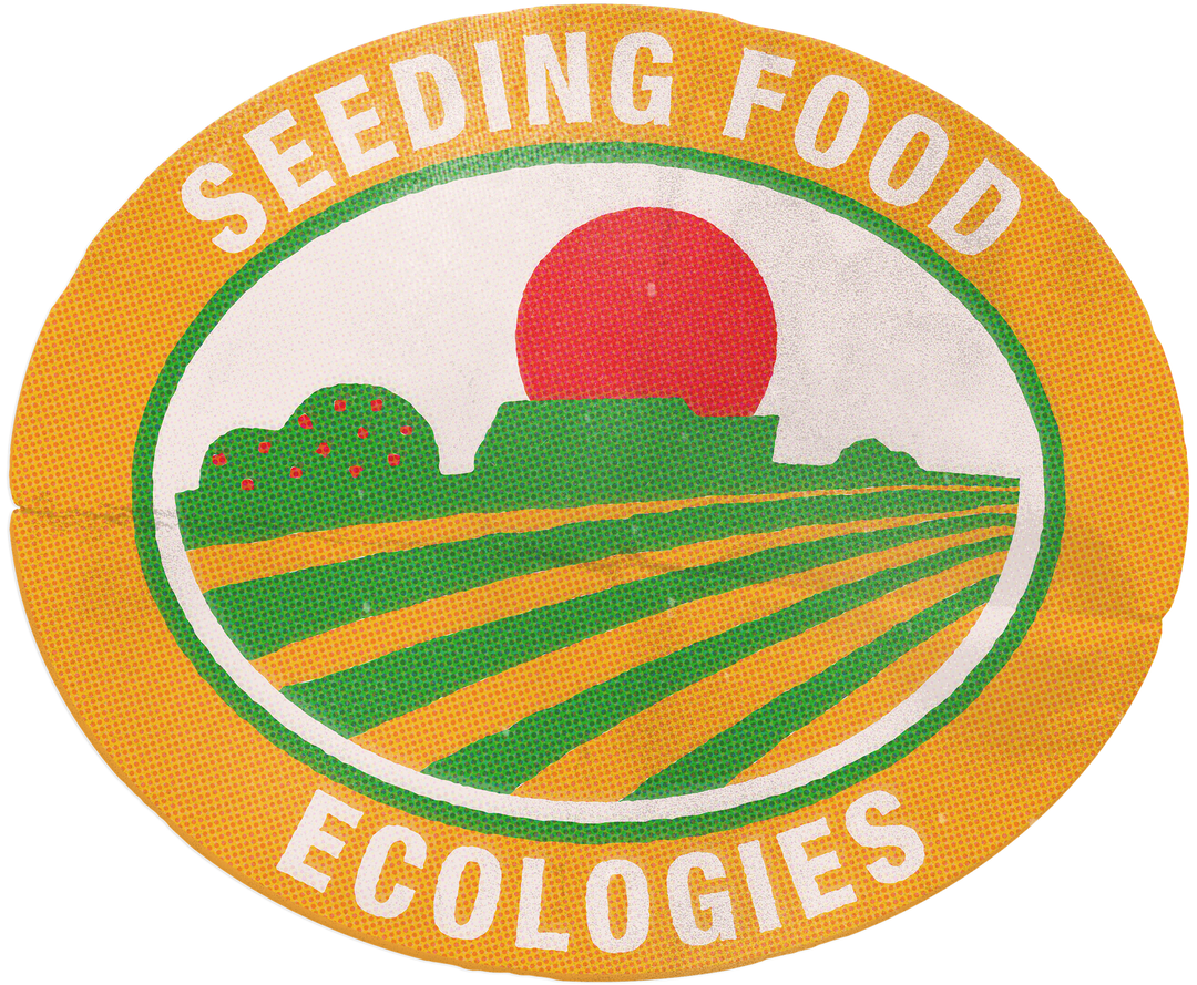 Design can play, and is already playing, a critical role in rethinking food of the future