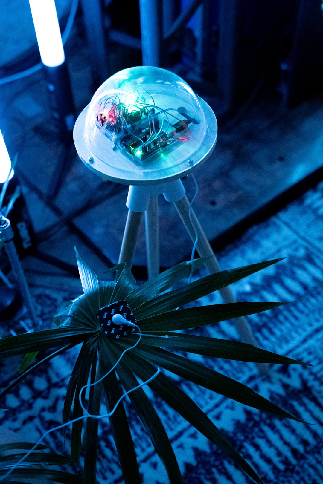 paradiso-extra-images01