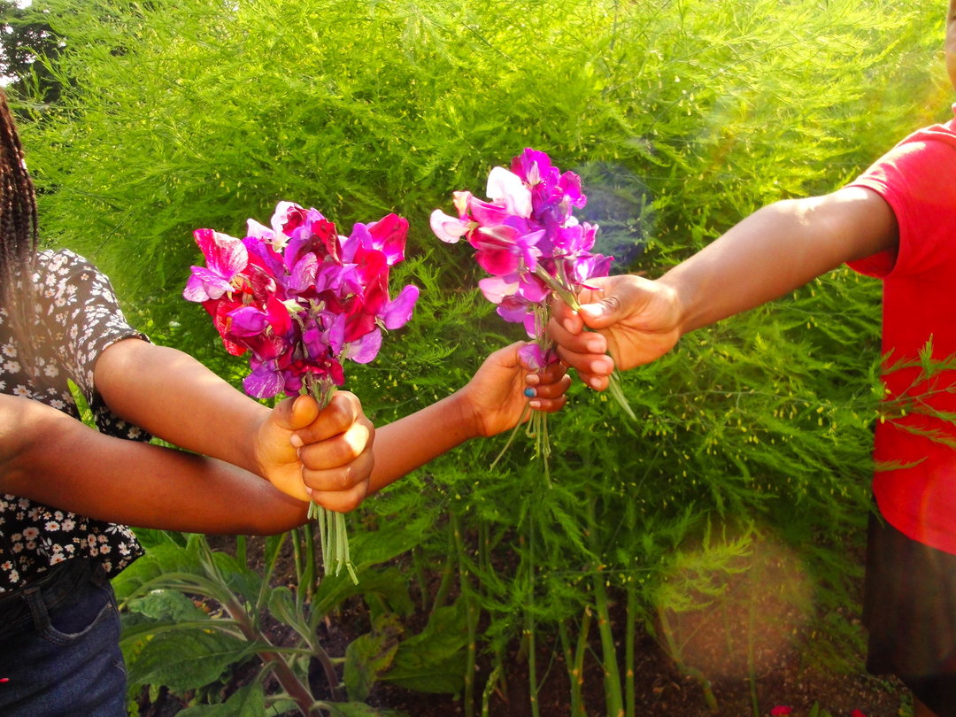 JasonEvans-TheGardenGateProject-Photography-itsnicethat.JPG