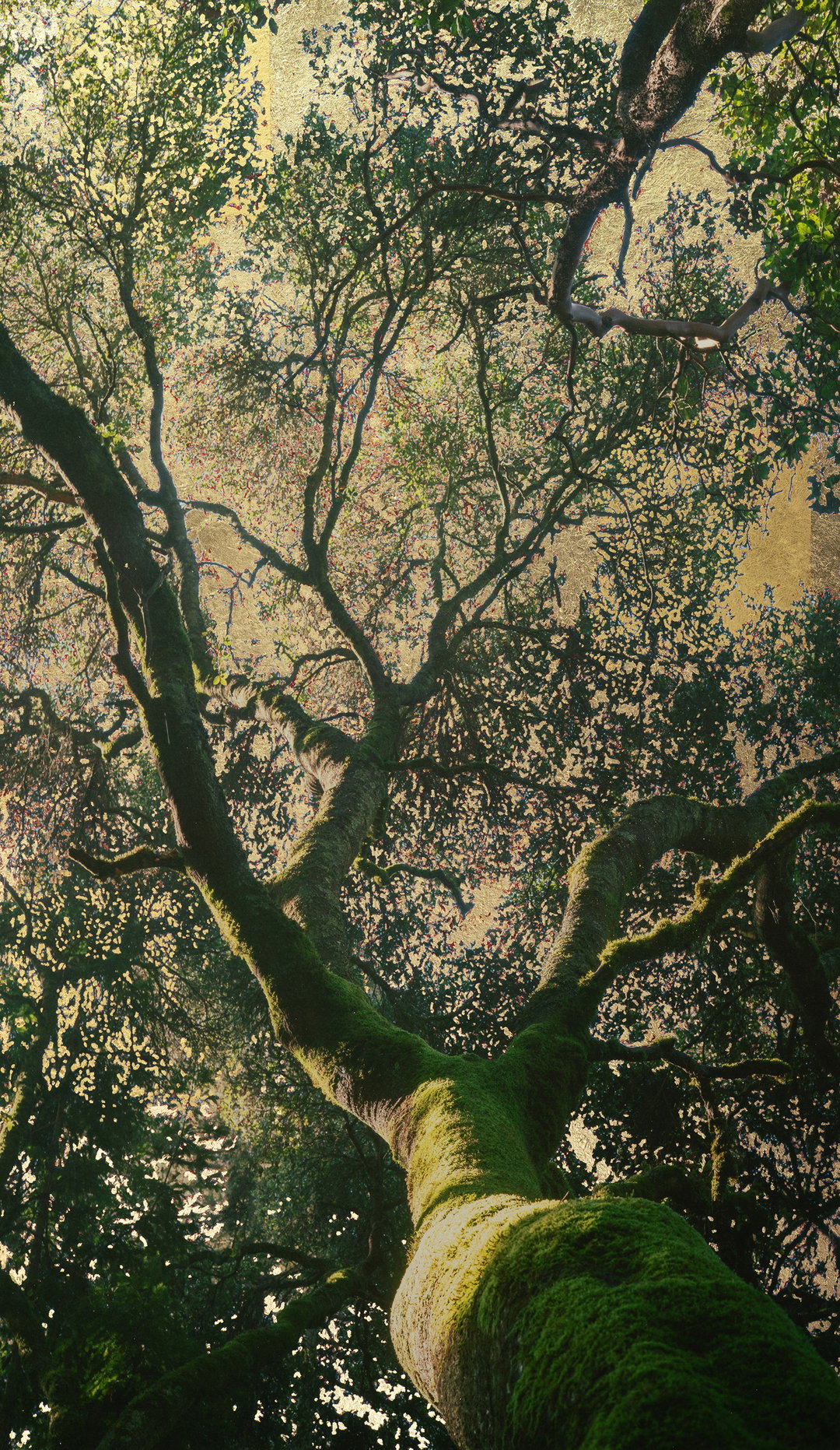 Daniel-Ballesteros-work-photography-itsnicethat-2.jpg