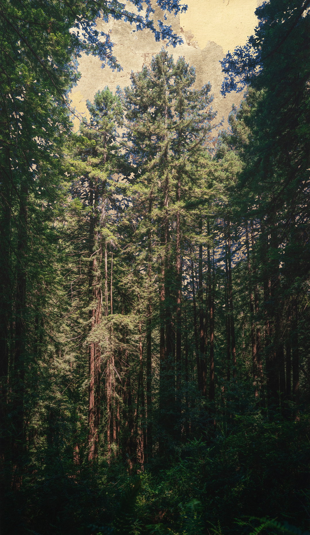 Daniel-Ballesteros-work-photography-itsnicethat-3.jpg