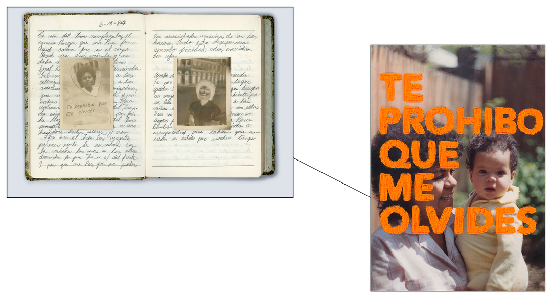 Daniela Spector - Archives - 12.png