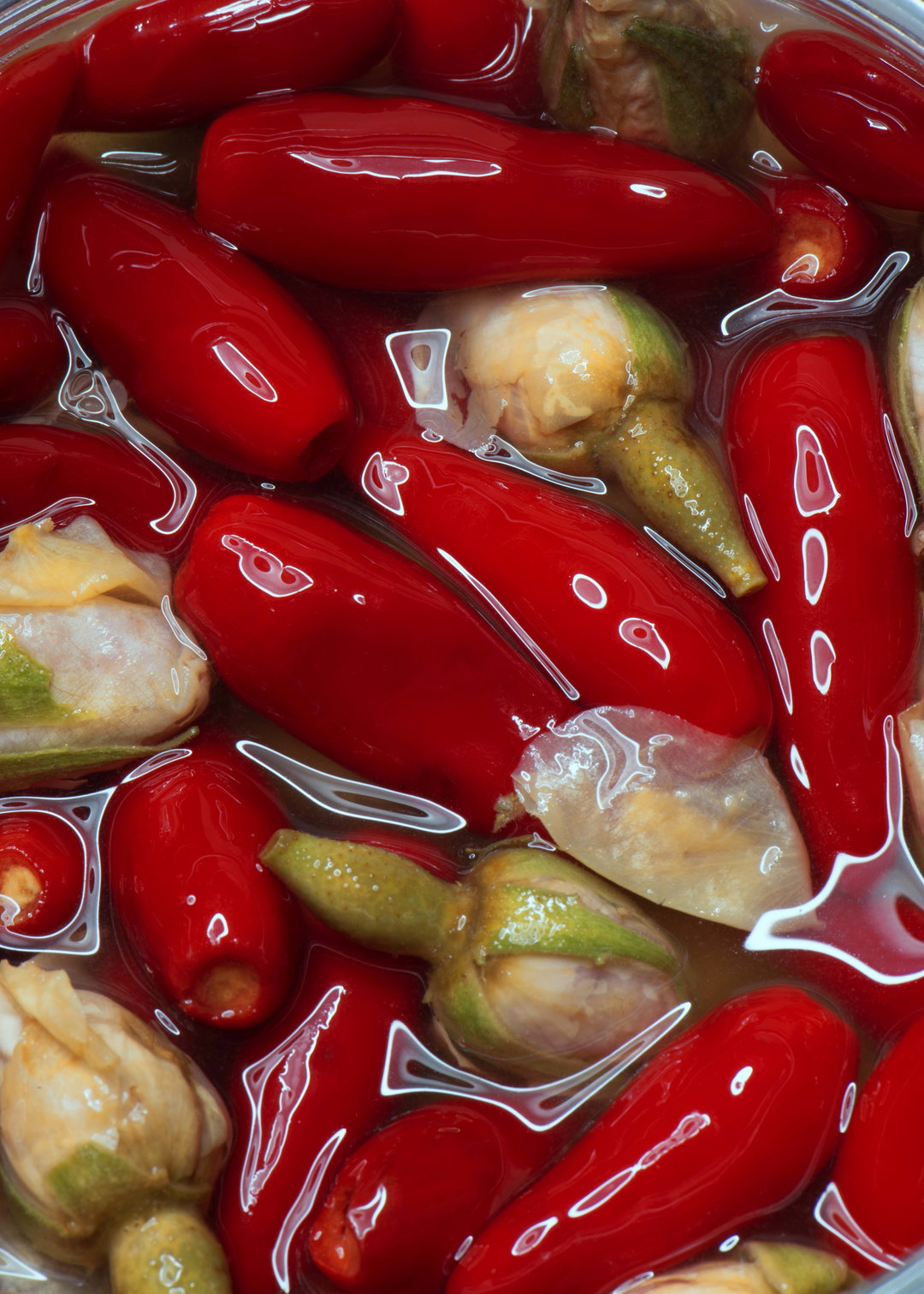 DeadHungry : Chillies + Rose (Copyright © DeadHungry, 2023).jpg