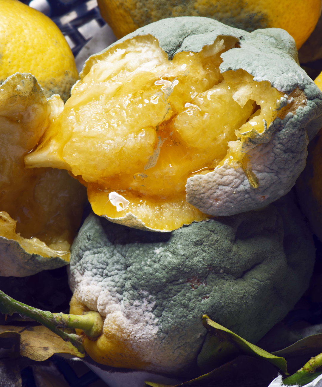 DeadHungry : Lemons (Copyright © DeadHungry, 2021).jpg