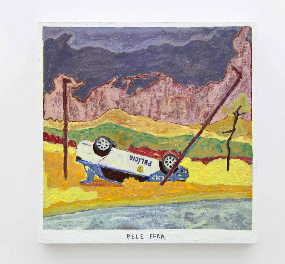 Desali - Pele Fera_the view from sao paulo itsnicethat.png