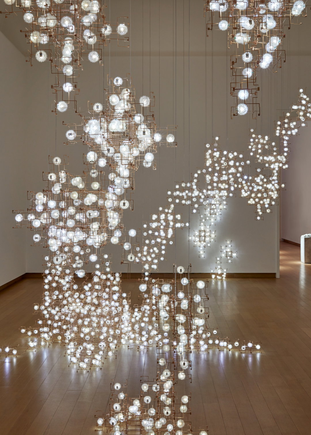 DesignIndaba-StudioDrift-FragileFutureCoded NatureexhibitionStedelijk- RonaldSmits-Event-itsnicethat.jpg