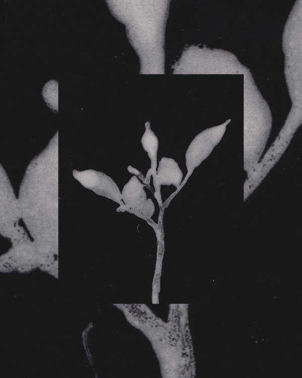Dhrutika-Khimani-animation-itsnicethat-