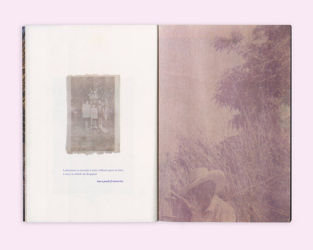 Diana_Guerra_-_Seaton_Street_Press_Copyright__D.original_1tiLKhukUgKZMijf.jpg