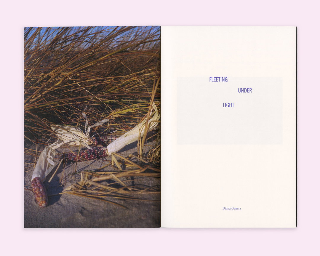 Diana_Guerra_-_Seaton_Street_Press_Copyright__D.original_MO4lJab6qRLR7Pqh.jpg