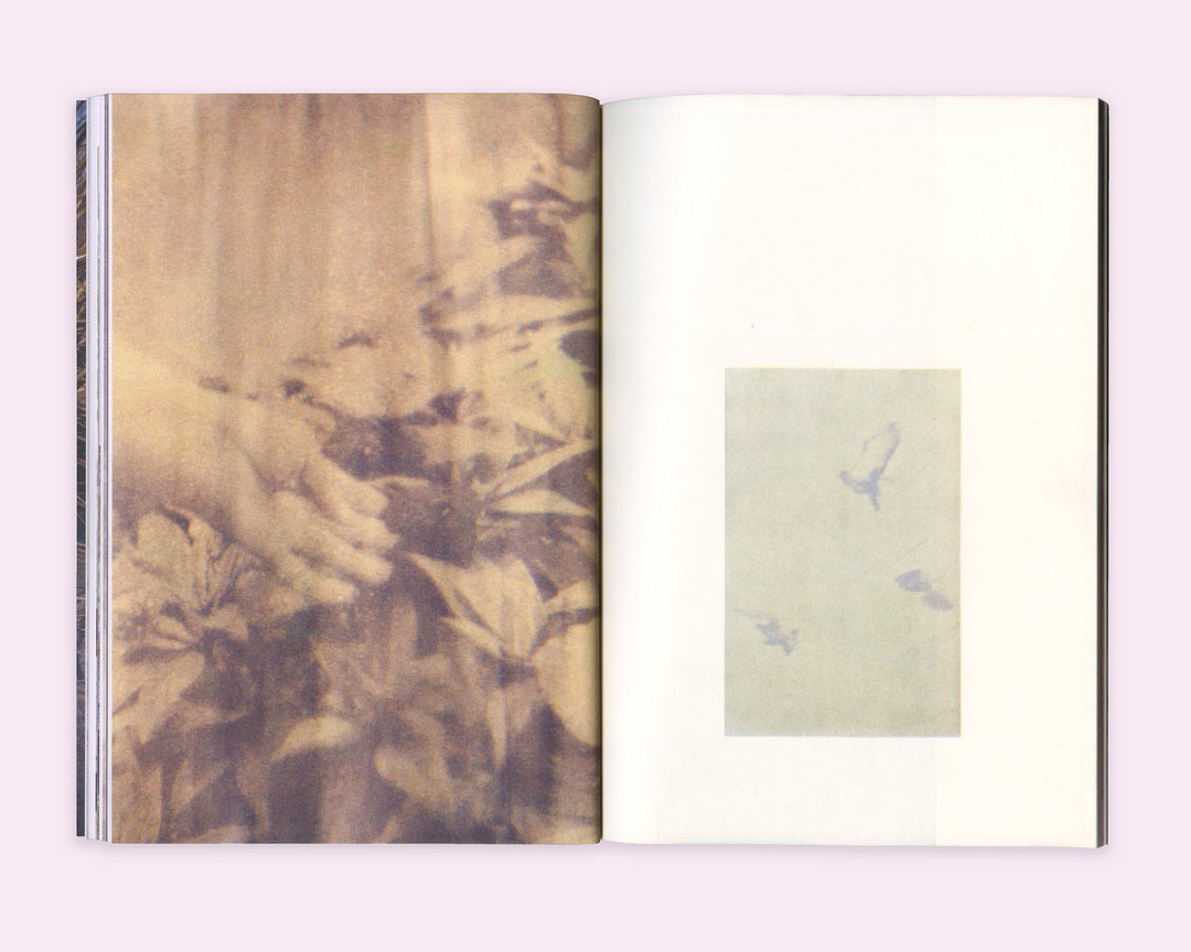Diana_Guerra_-_Seaton_Street_Press_Copyright__D.original_TymhaZdIynEQwBqx.jpg