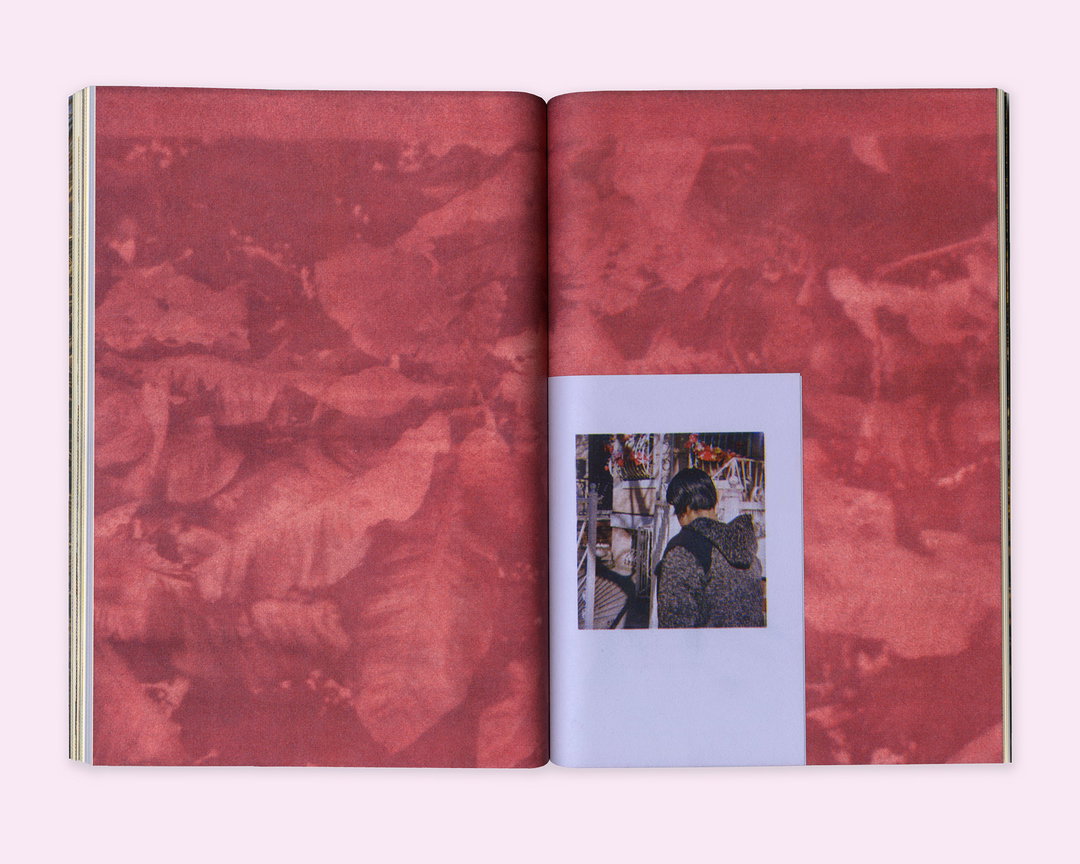Diana_Guerra_-_Seaton_Street_Press_Copyright__D.original_sGLUHil6tQvcsBsg.jpg