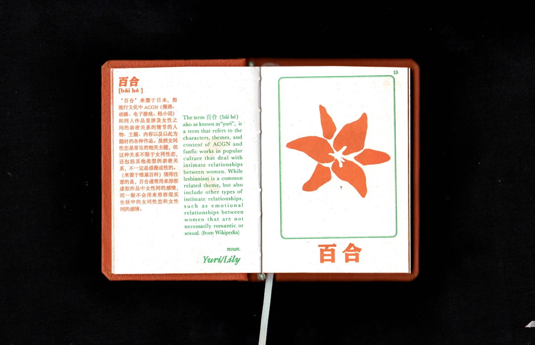 Siting-Yao-lesbian-slang-in-chinese-gd-itsnicethat-04