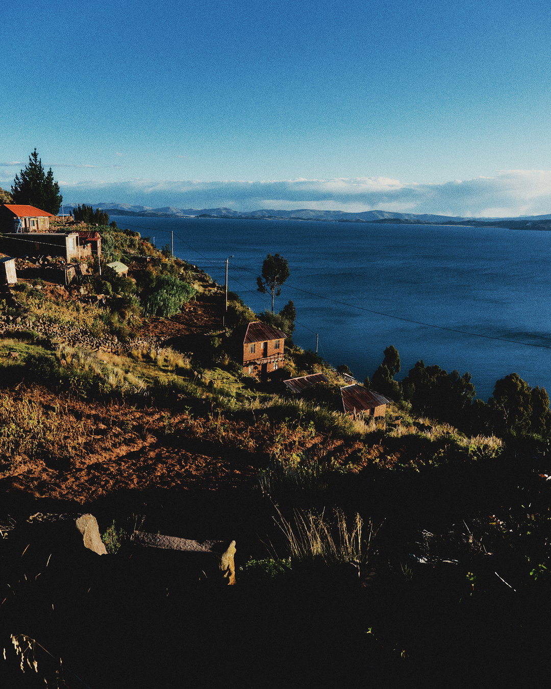 Diego-Bendezu-Photography-Project-itsnicethat14.jpg