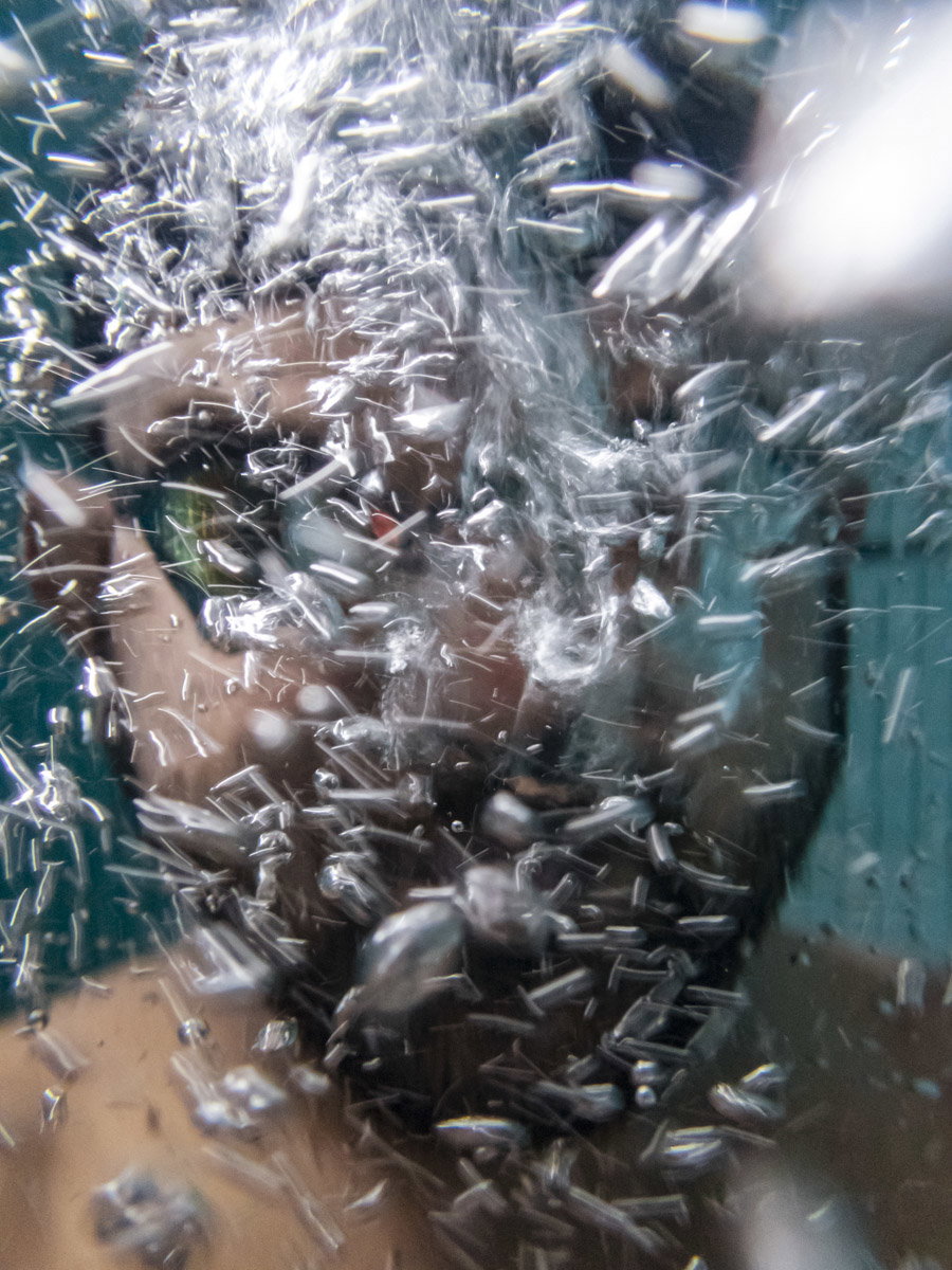 JayPatel-DivingIntoTheUnknown-Photography-itsnicethat.jpg