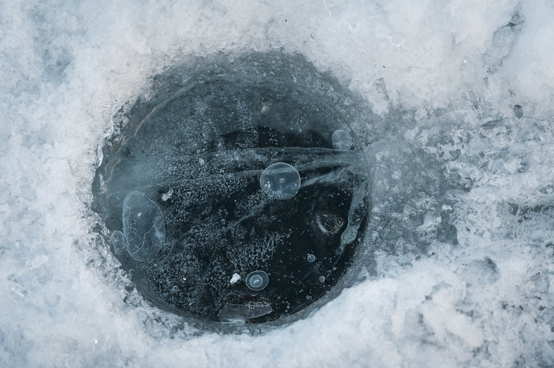 JayPatel-DivingIntoTheUnknown-Photography-itsnicethat.jpg