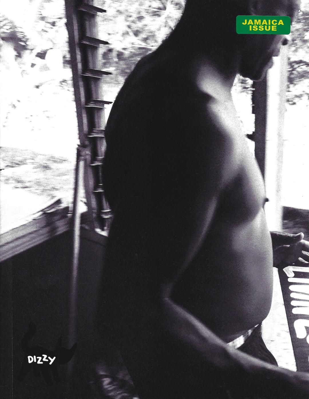 Dizzy JAMAICA Edition cover.png