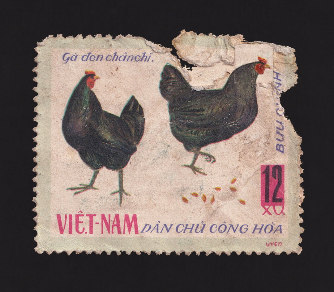 Duc Luong-Graphic-Design-Project-itsnicethat-6.jpg