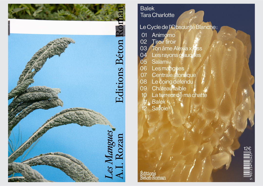 Europium-EditionsBetonRoman-GraphicDesign-itsnicethat.jpg