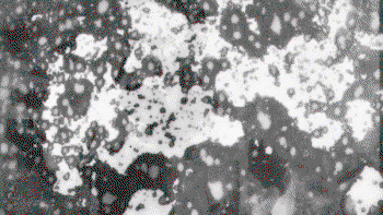 eddcarr-cyanotypeanimations-film-itsnicethat-07