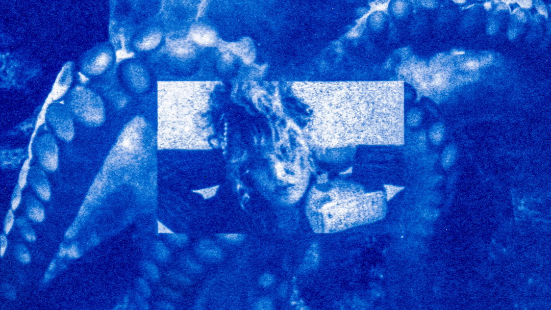 eddcarr-cyanotypeanimation-film-itsnicethat-09