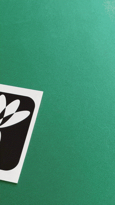 Elena-Saharova-See-and-Grow-graphic-design-project-itsnicethat5.gif