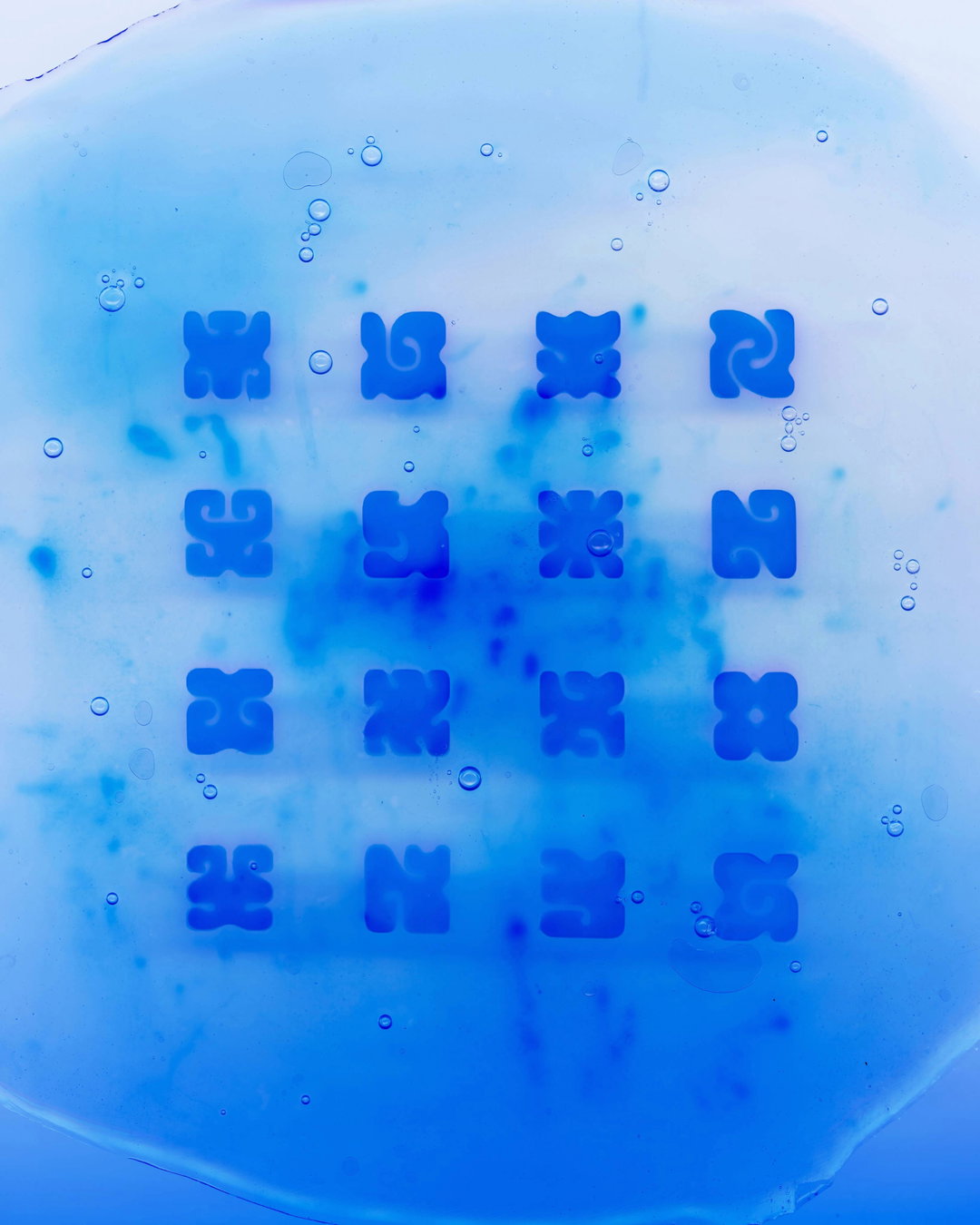 Logos and glyphs grow out of agar and grapevines in Emi Takahashi’s graphic explorations of living forms