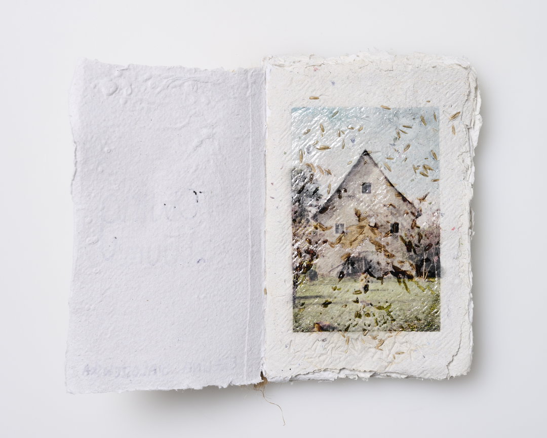 Ewelina-Bialoszewska-Growing-Album-photography-itsnicethat-11