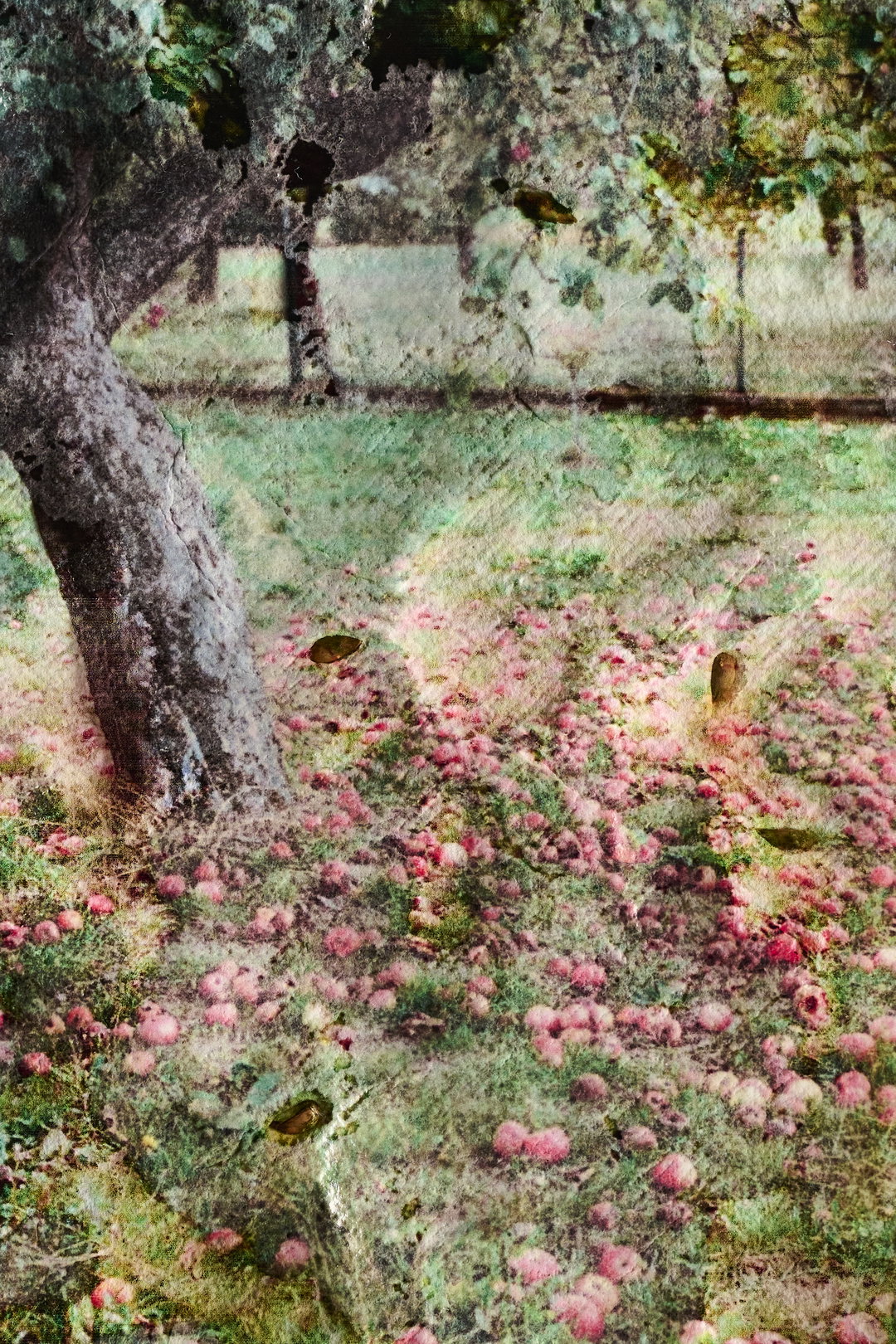 Ewelina-Bialoszewska-Growing-Album-photography-itsnicethat-01