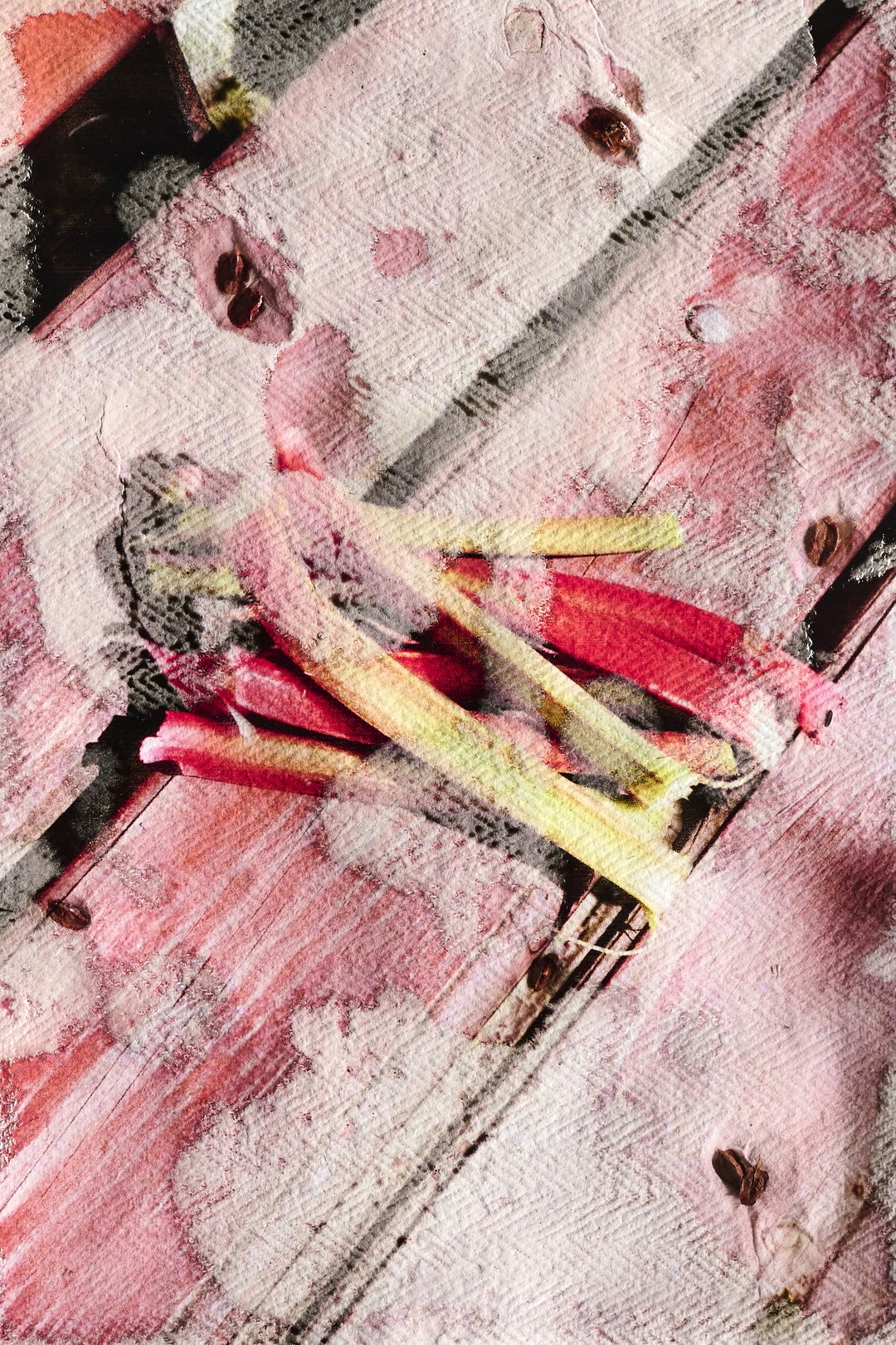 Ewelina-Bialoszewska-Growing-Album-photography-itsnicethat-05