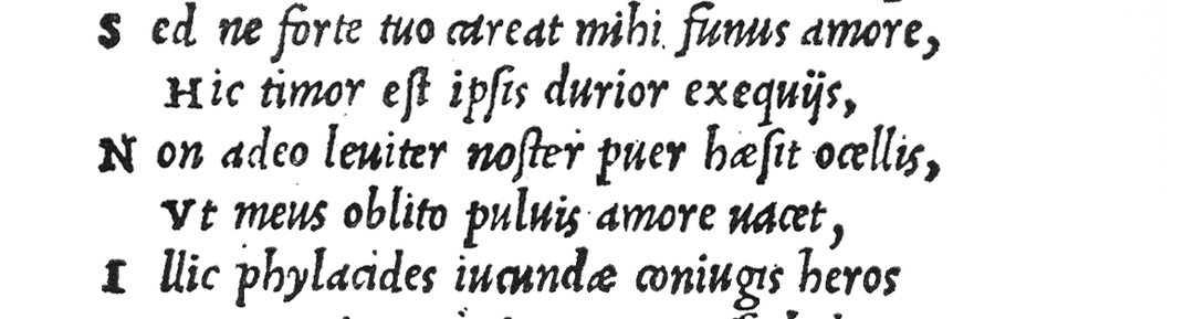 ExtraBold_p65topleft.jpg